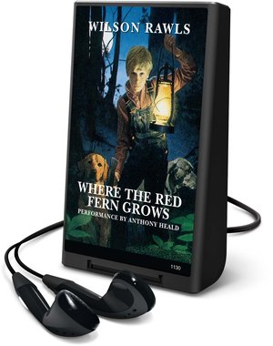 Where the red fern grows